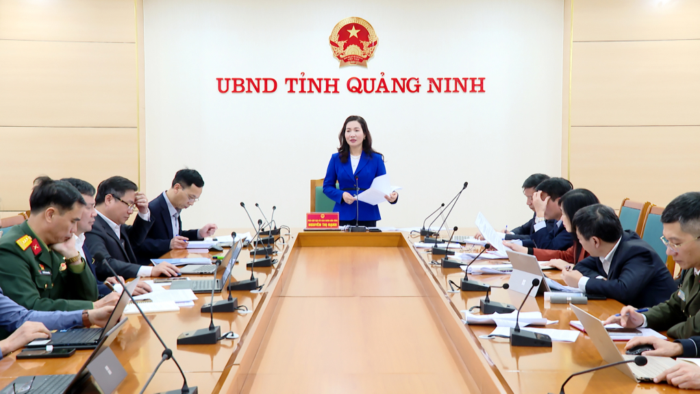 UBND tỉnh họp triển khai thực hiện chương trình phát triển nguồn nhân lực ngành công nghiệp bán dẫn đến năm 2030, định hướng đến năm 2050 trên địa bàn tỉnh