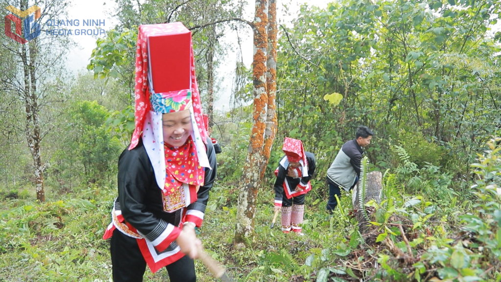 Người dân xã Đồng Văn, huyện Bình Liêu vệ sinh rừng hồi sau Tết Nguyên đán Ất Tỵ.