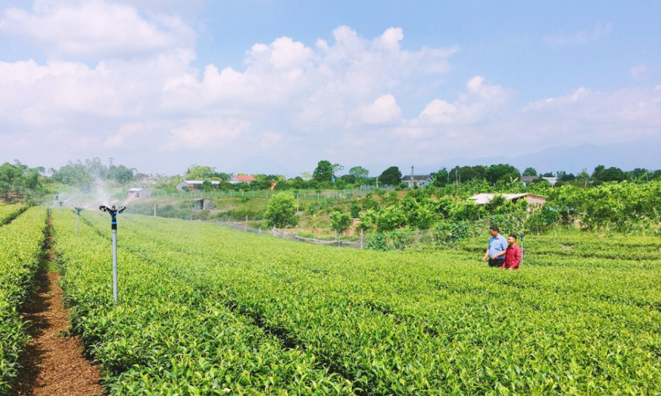 Ứng dụng khoa học công nghệ trong vùng dân tộc thiểu số