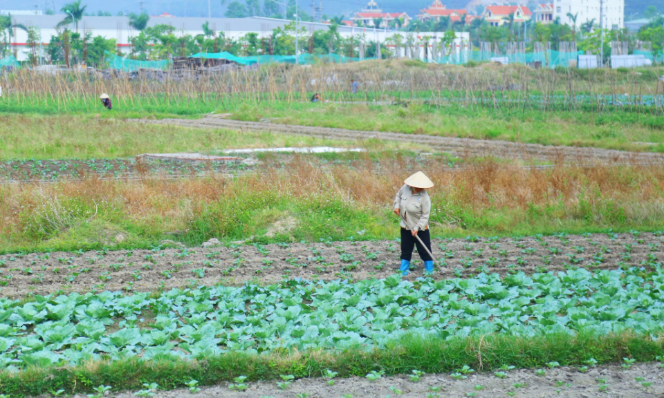 Không chủ quan với rét đậm, rét hại