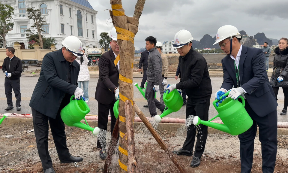 Thành phố Cẩm Phả và Tập đoàn TTP phát động Tết trồng cây