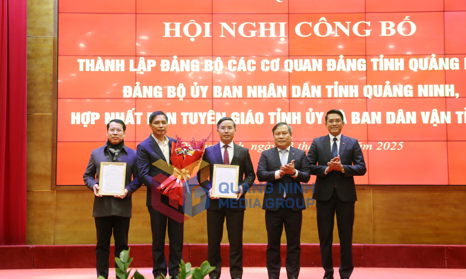 Công bố các quyết định thành lập và hợp nhất các Đảng bộ, cơ quan trực thuộc Tỉnh ủy, tháng 2-2025