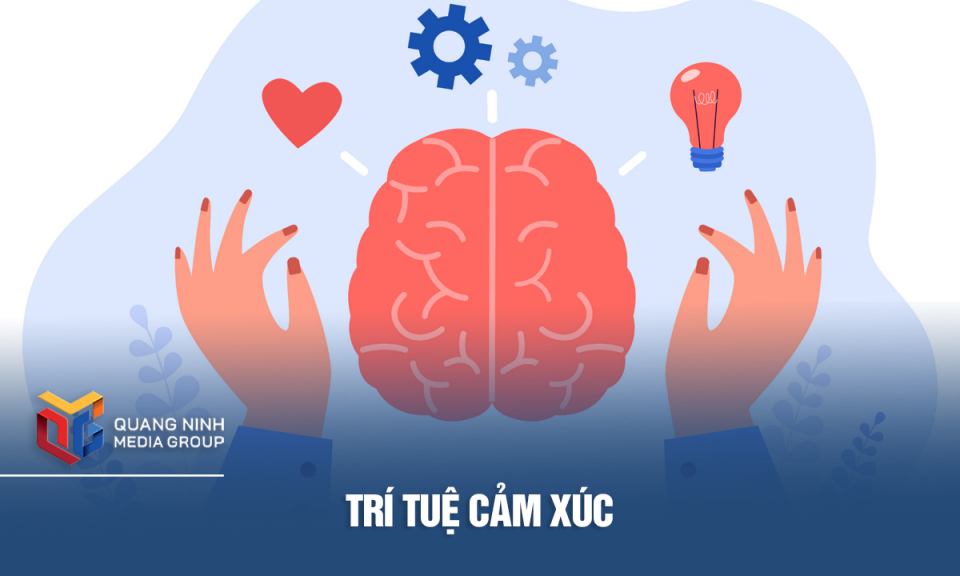 Trí tuệ cảm xúc