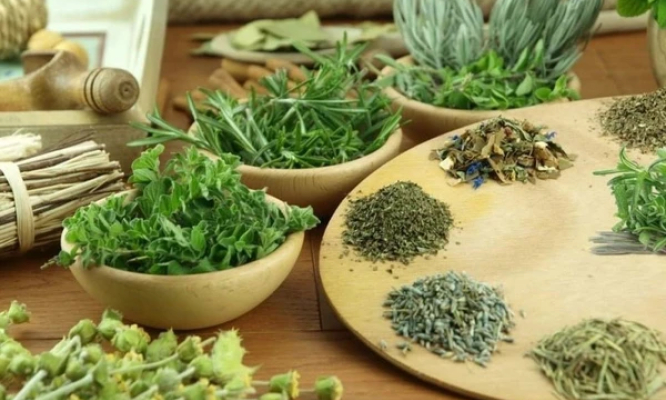 9 loại thảo mộc cải thiện sức khỏe gan