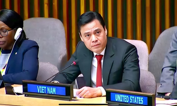 Việt Nam begins term on UN Women executive board