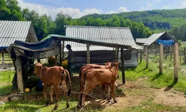 6 tỉnh, thành phố không còn hộ nghèo