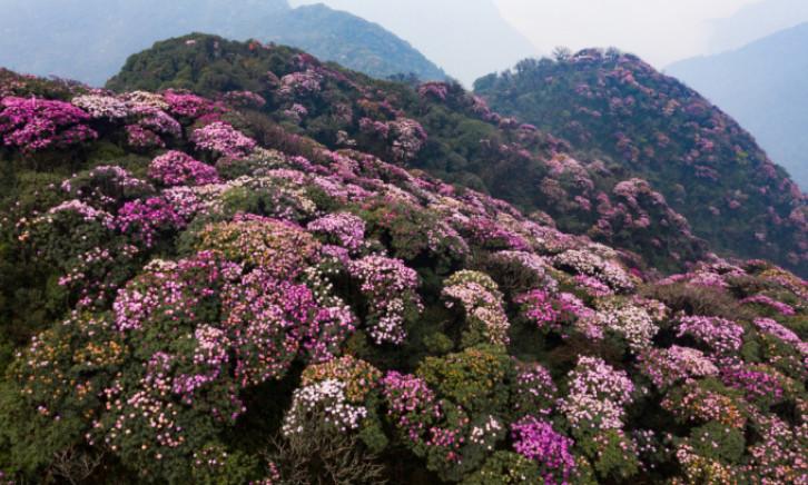 5 cung trekking mùa xuân miền Bắc