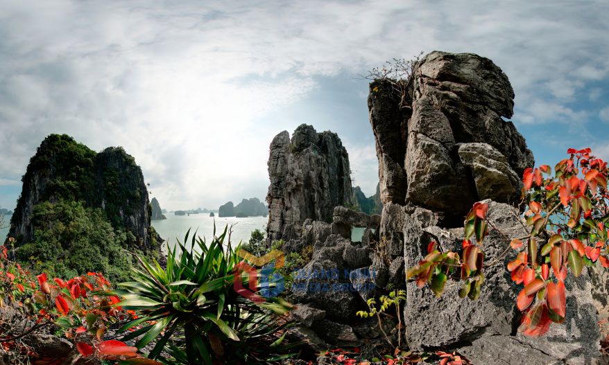 Ha Long Bay in the season of red leaves