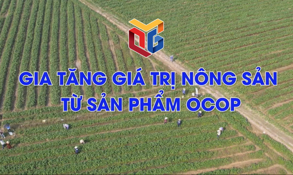 Gia tăng giá trị nông sản từ sản phẩm OCOP