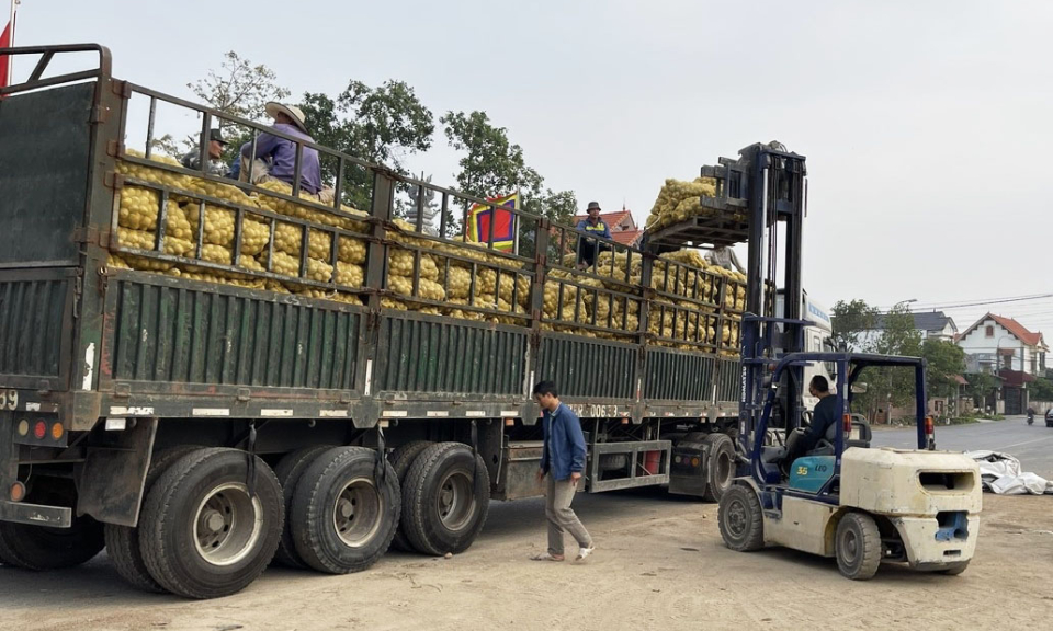 Phát huy vai trò của hợp tác xã