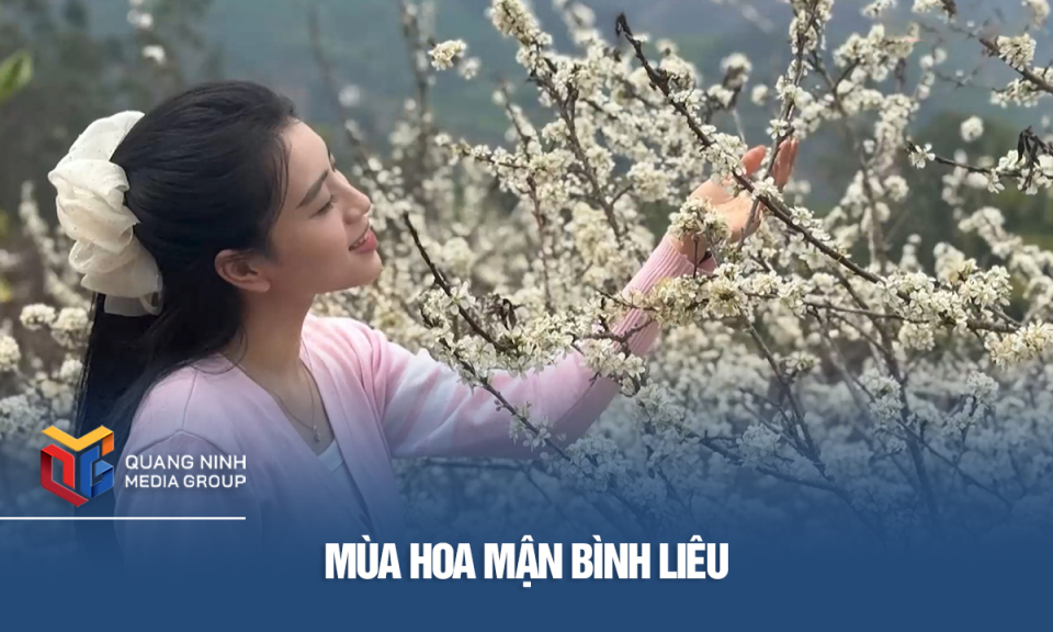 Mùa hoa mận Bình Liêu