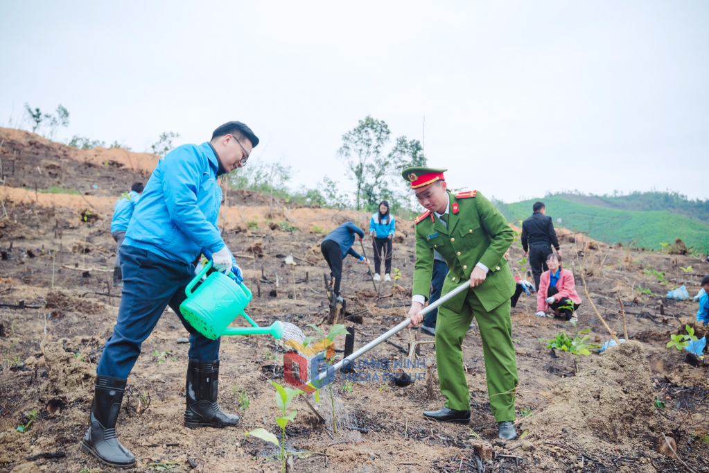 Đoàn thanh niên tham gia trồng cây gây rừng tại xã Tân Dân. 