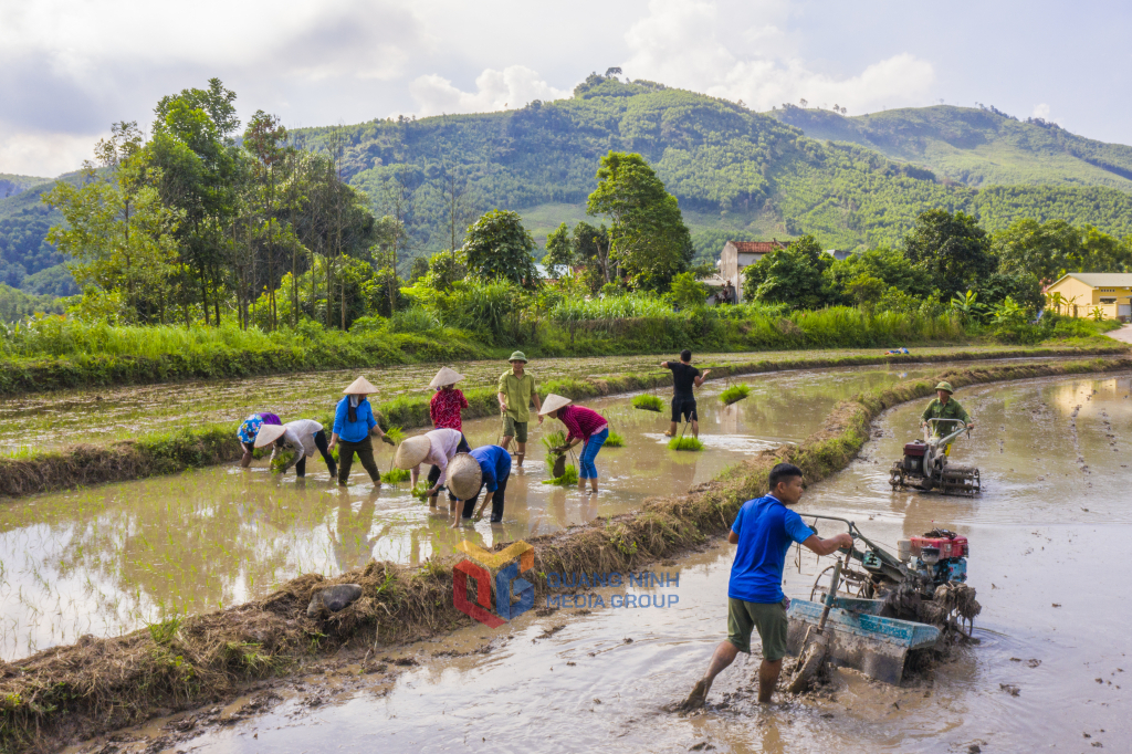 Người dân xuống đồng