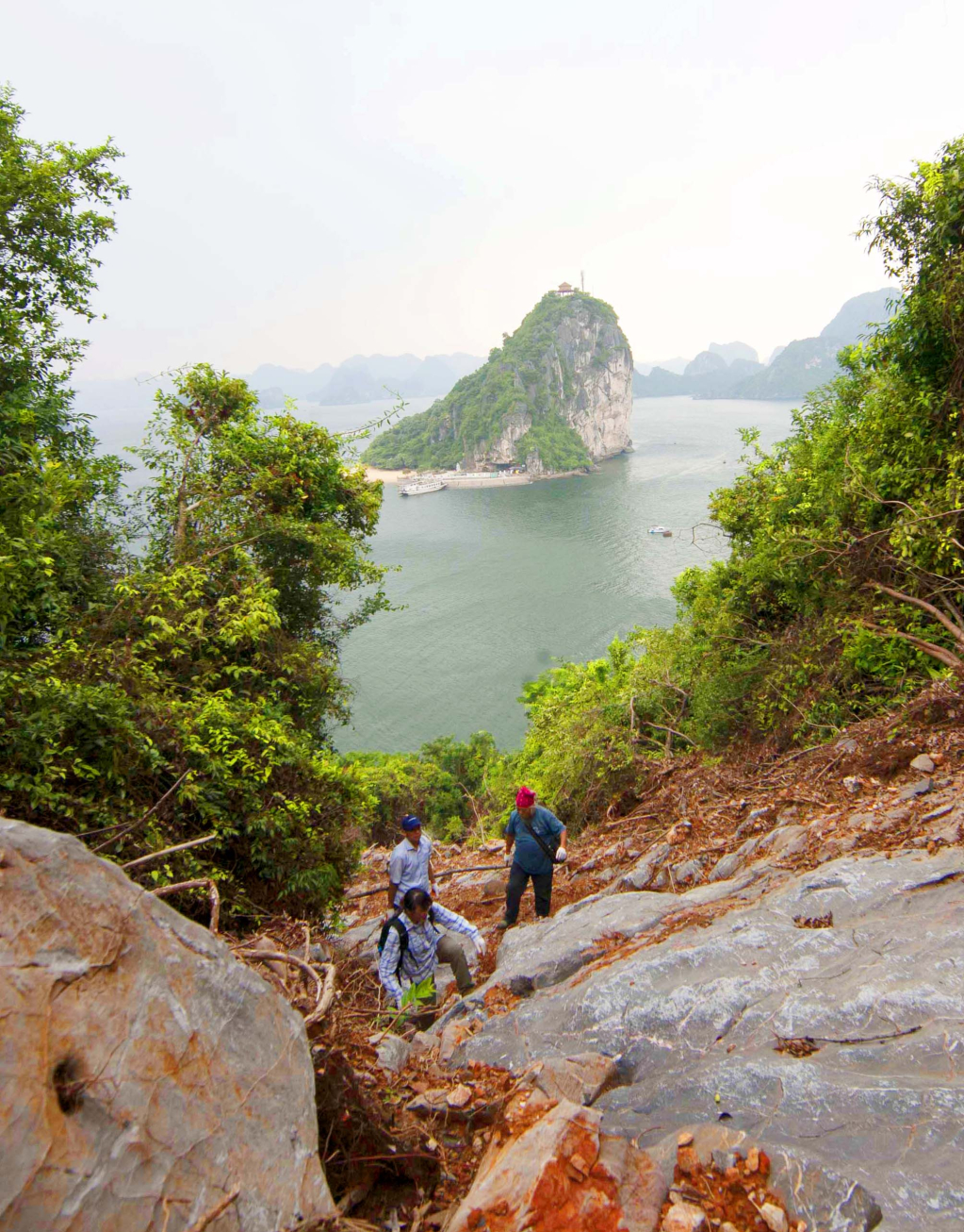 Chinh phục các vách đá cao để khảo sát, phát hiện các loài thực vật đặc hữu.