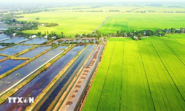 Mekong Delta faces intensifying saltwater intrusion amid declining dry season flow