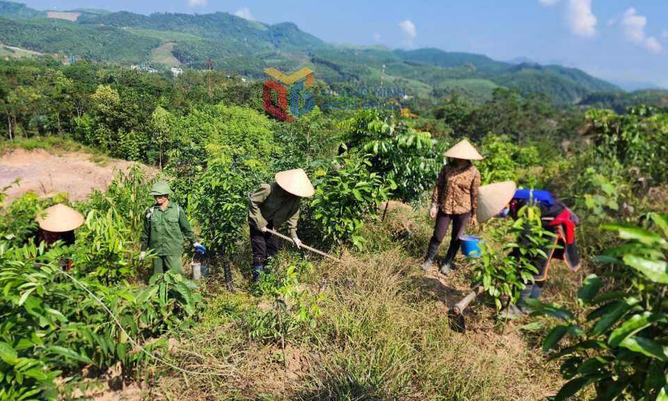 Phát huy lợi thế, làm giàu trên vùng đất khó