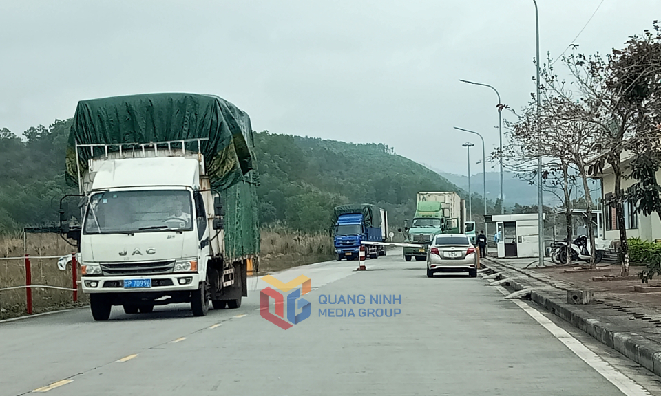 Trade through Mong Cai border gate surges over 58%