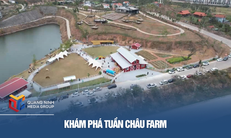 Khám phá Tuần Châu Farm