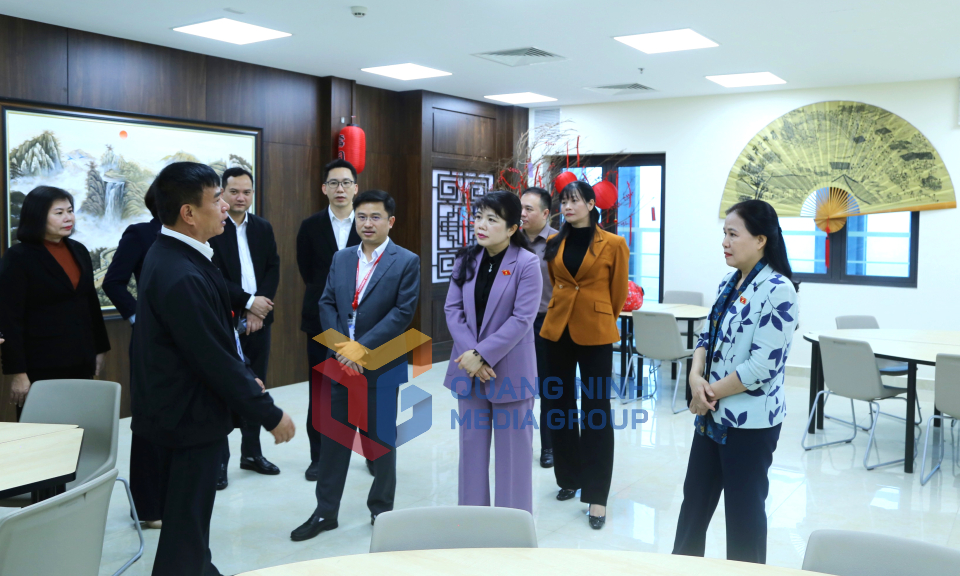 Đoàn ĐBQH tỉnh giám sát tại Trường Đại học Hạ Long và Trường Cao đẳng Việt - Hàn, tháng 3-2025