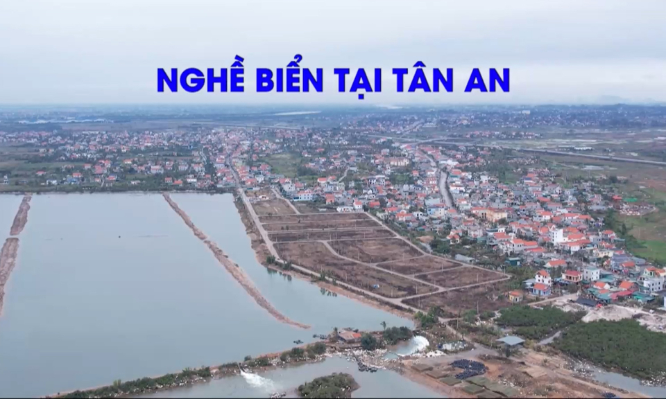 Nghề biển ở Tân An