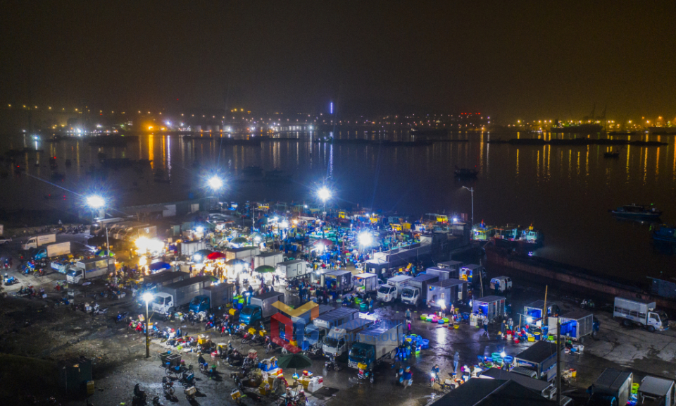 The bustling atmosphere of Hon Gai early fish market 