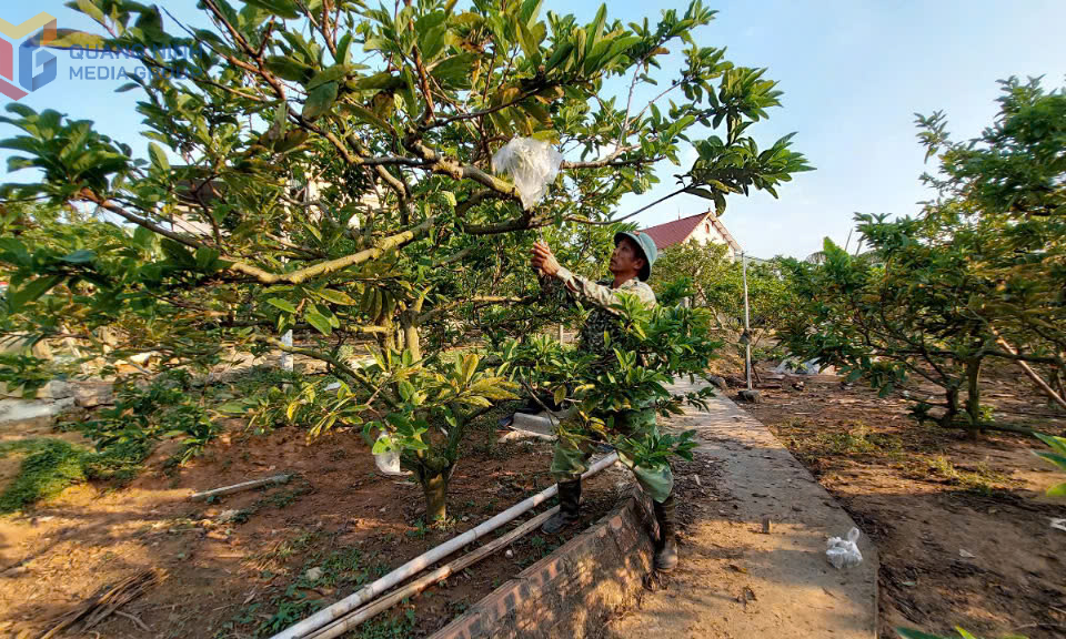 Hội Nông dân xã Việt Dân học Bác từ việc làm cụ thể, thiết thực