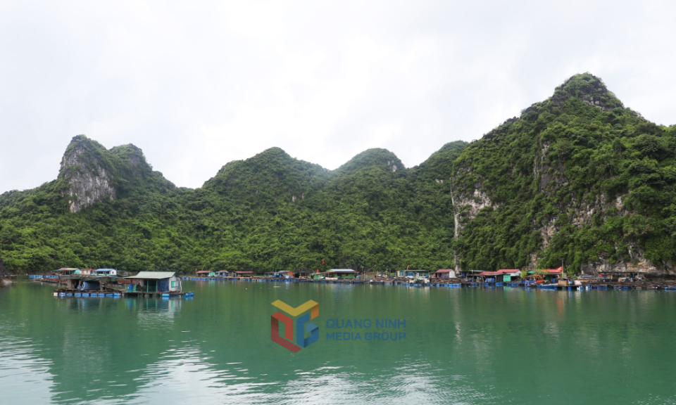 Bai Tu Long bay: A hidden paradise of natural beauty