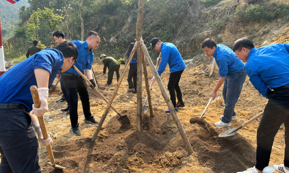 7,500 trees grown at Suoi Tam Pagoda