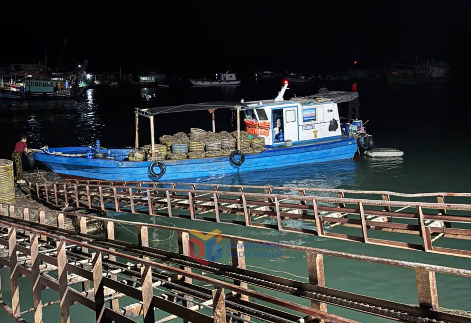 Sáng sớm, những chuyến tàu khai thác hầu sữa từ các cơ sở nuôi của Vân Đồn được vận chuyển về xuất bán cho thương nái tại cảng Cái Rồng.