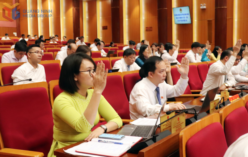 Các đại biểu HĐND tỉnh biểu quyết thông qua các Nghị quyết tại kỳ họp.
