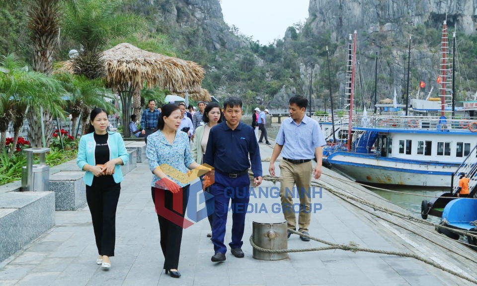 Đoàn ĐBQH tỉnh giám sát tại Ban Quản lý Vịnh Hạ Long, tháng 3-2025