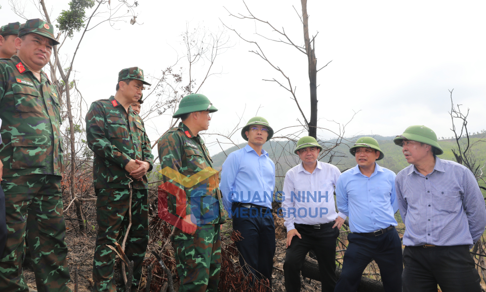 Chủ tịch UBND tỉnh Phạm Đức Ấn đi kiểm tra công tác phòng cháy, chữa cháy tại địa bàn TP Hạ Long và TP Uông Bí, tháng 4-2025