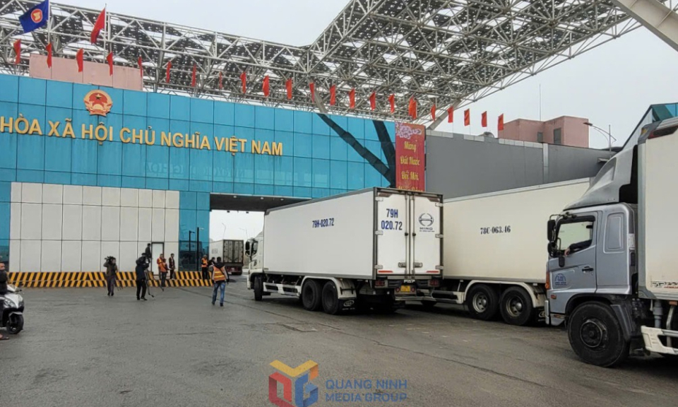 Quyết tâm thu xuất nhập khẩu ở mức cao nhất