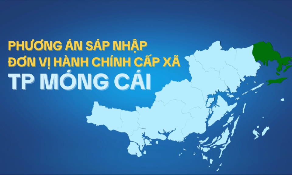 Phương án sắp xếp đơn vị hành chính cấp xã của TP Móng Cái