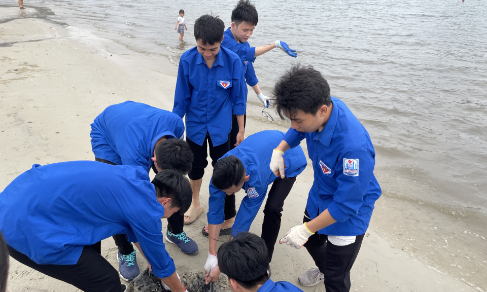 Tuổi trẻ Hạ Long tham gia chiến dịch làm sạch biển