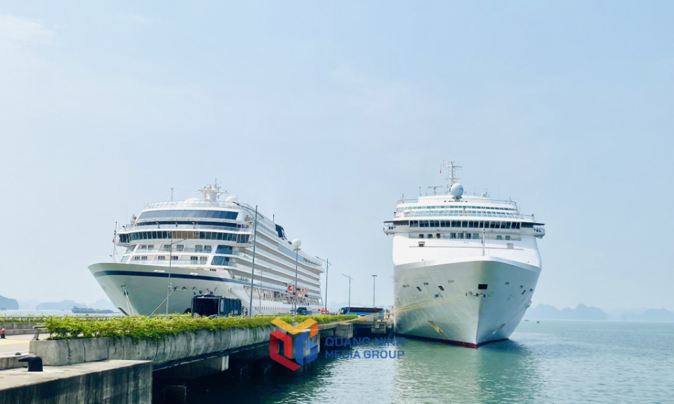 Quang Ninh welcomes nearly 3,000 cruise tourists