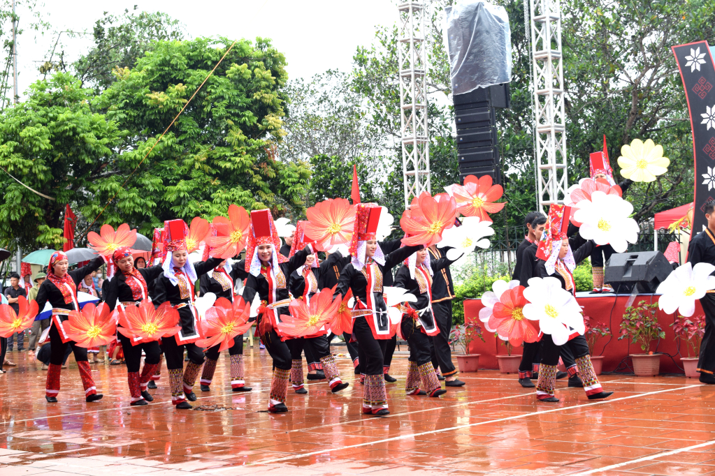 Muôn sắc hoa ngày hội