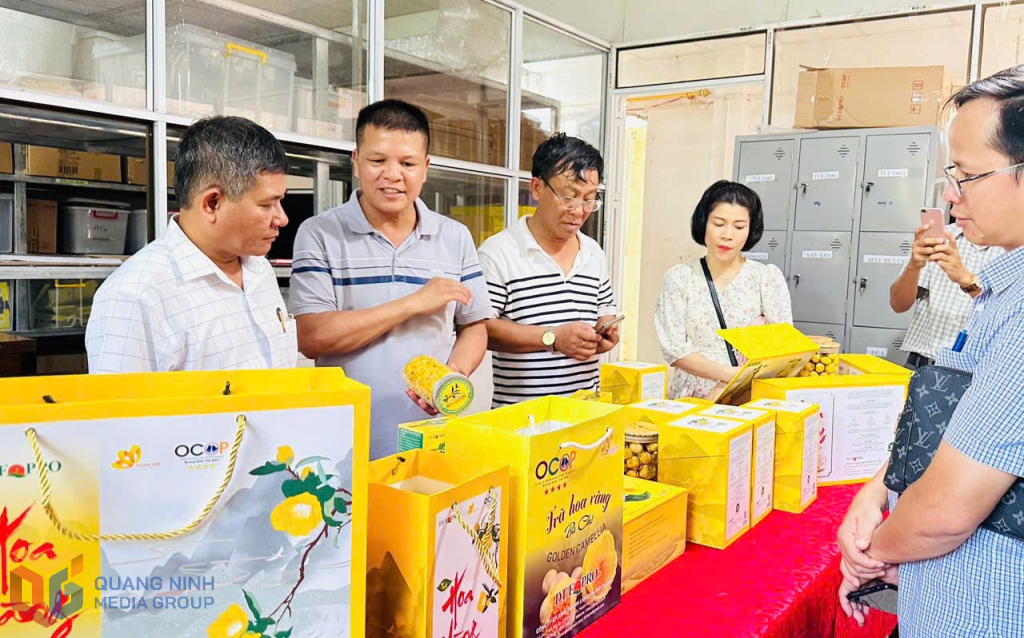 Anh Nịnh Văn Trắng (thứ 2 từ trái sang) giới thiệu về sản phẩm OCOP 5 sao trà hoa vàng của mình.