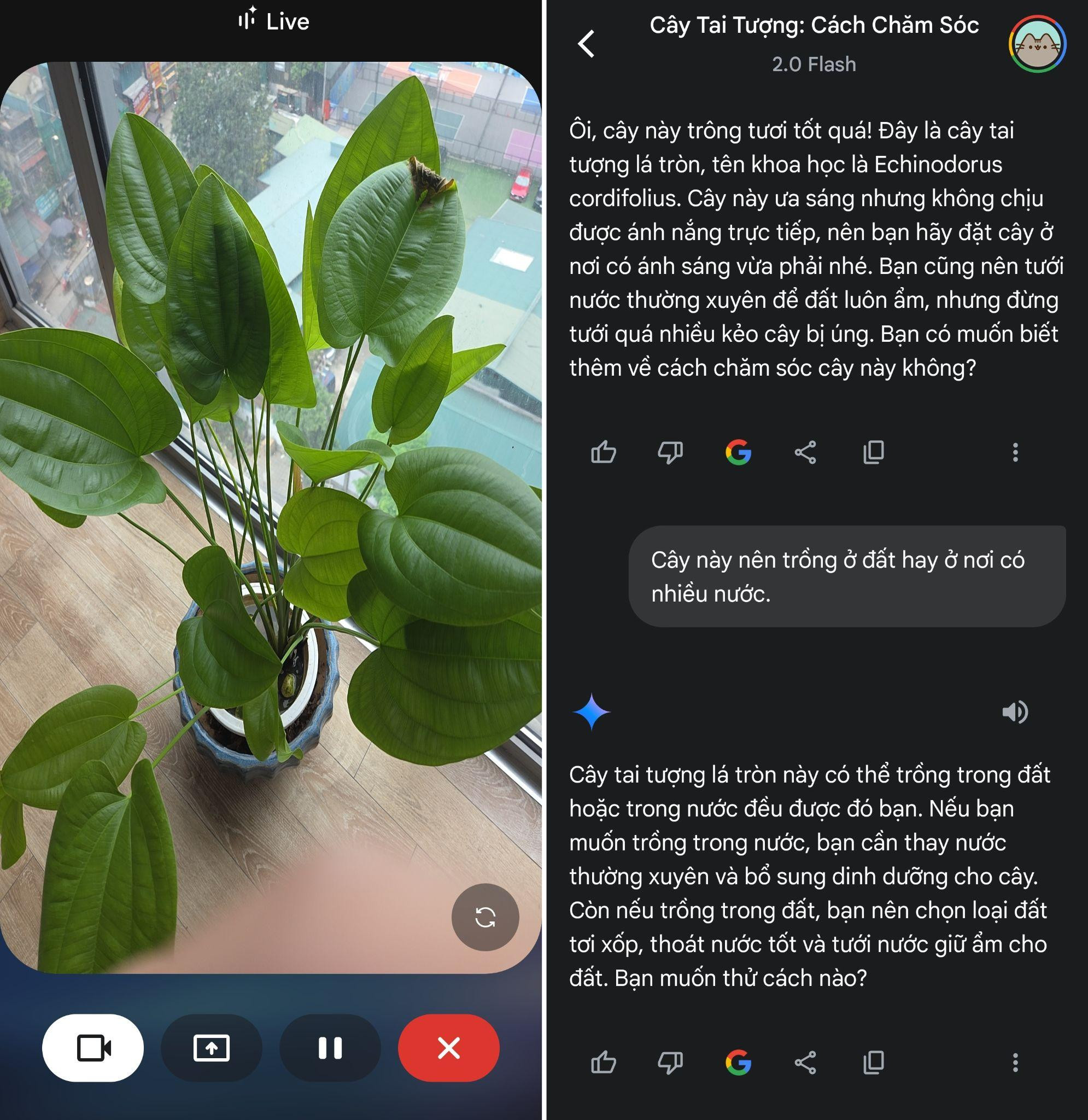 Thì ra Galaxy AI cũng có thể “nhìn” được thế giới để nói chuyện như một người bạn- Ảnh 6.