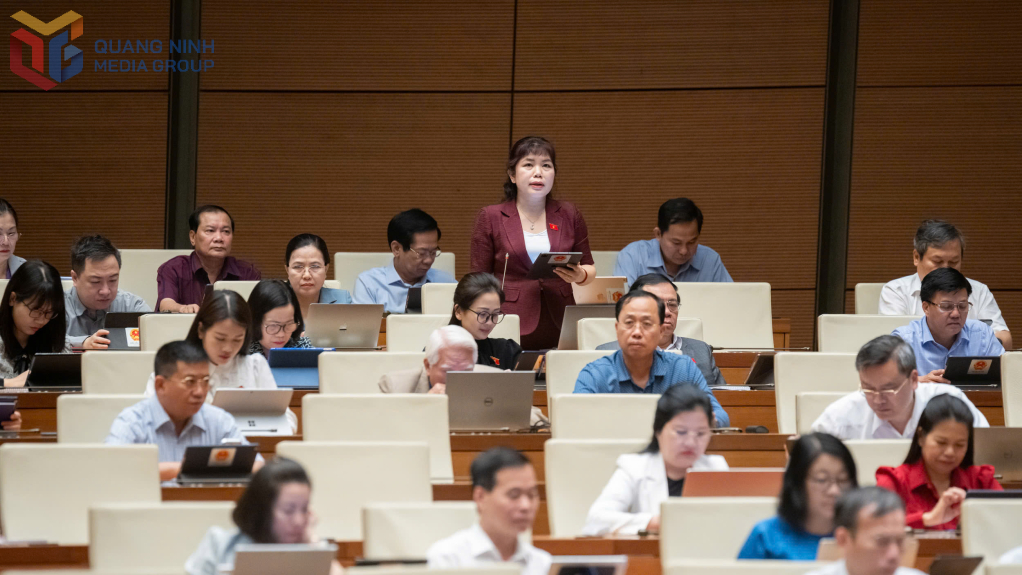 Đại biểu Nguyễn Thị Thu Hà, Phó Trưởng Đoàn ĐBQH tỉnh phát biểu thảo luận.