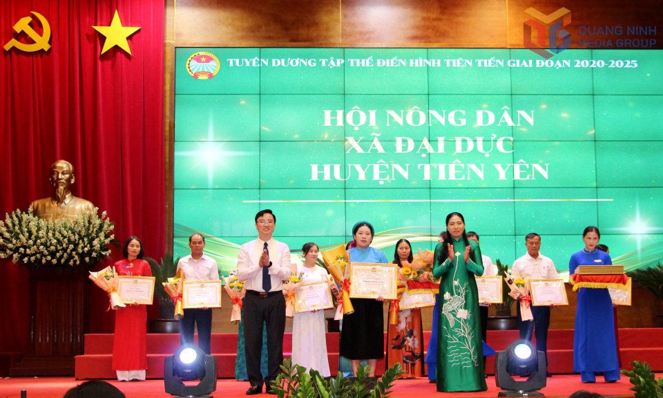 Lãnh đạo Hội Nông dân tỉnh và Ban Tuyên giáo - Dân vận Tỉnh ủy, trao Bằng khen của Hội Nông dân tỉnh cho tập thể điển hình tiên tiến trong phong trào thi đua.