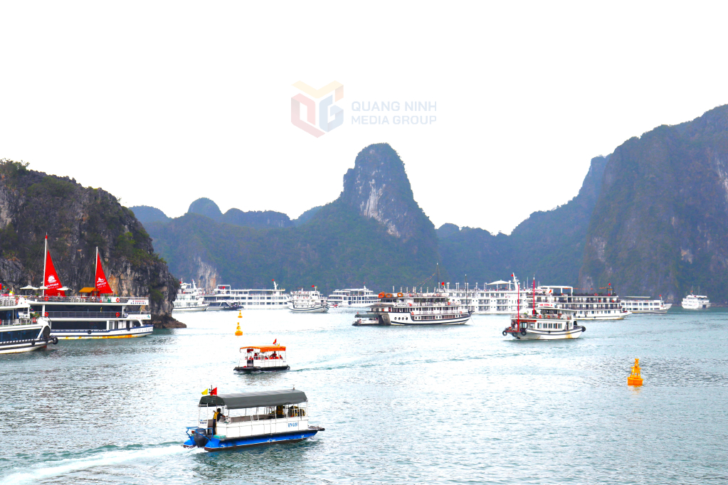 Các tàu du lịch tấp nập đưa đón khách tham quan Vịnh Hạ Long.