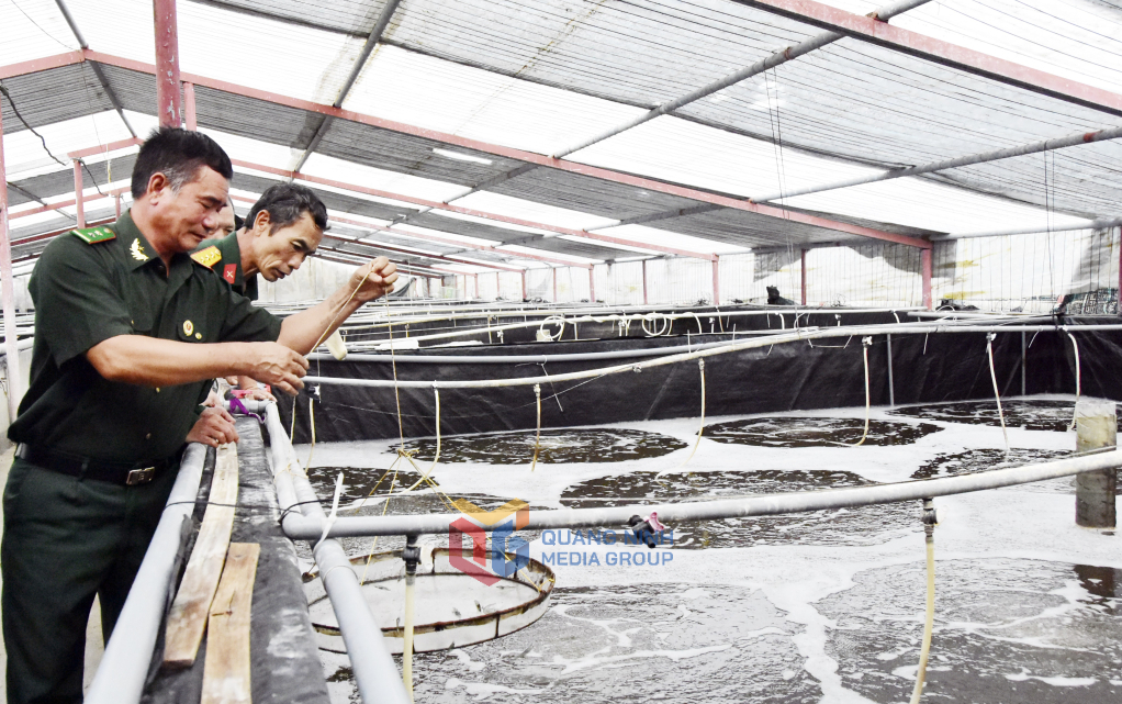 Hội viên CCB xã Quảng Nghĩa (TP Móng Cái) nuôi tôm công nghệ cao phát triển kinh tế vươn lên làm giàu.