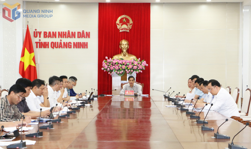 Đồng chí Vũ Văn Diện, Phó Chủ tịch Thường trực UBND tỉnh, phát biểu chỉ đạo tại buổi làm việc.