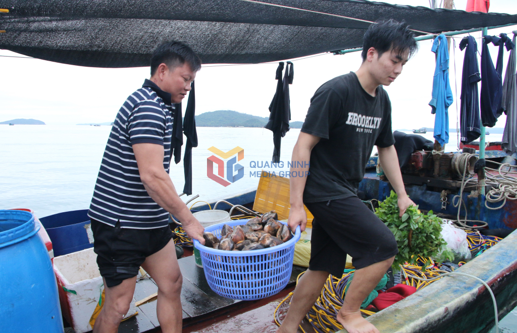 Những rổ hải sản tươi rói nhanh chóng được vận chuyển lên bờ.