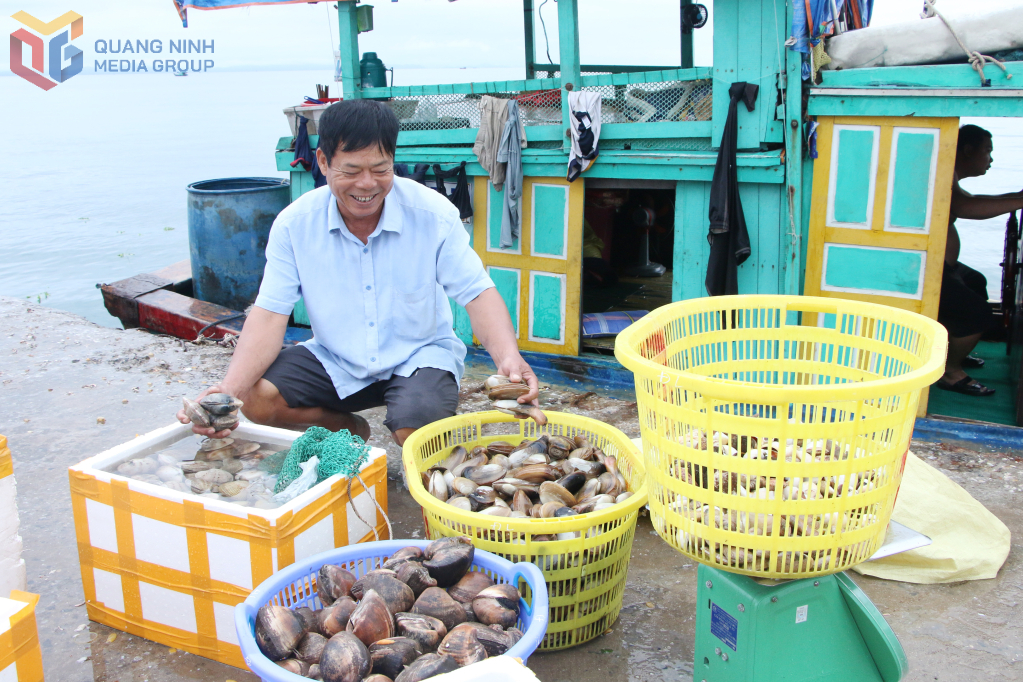 Du khách có thể mua hải sản ngay tại cảng Bắc Vàn khi tàu cập bến.