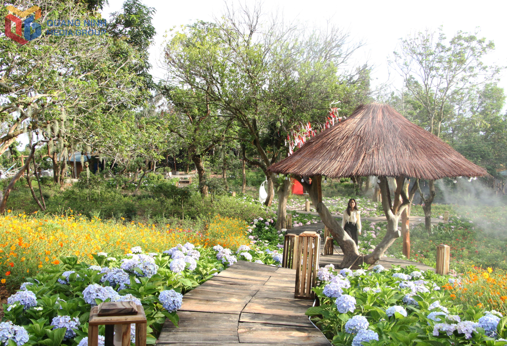 Cô Tô Village tạo không gian ngập tràn hoa tươi cho du khách check-in.