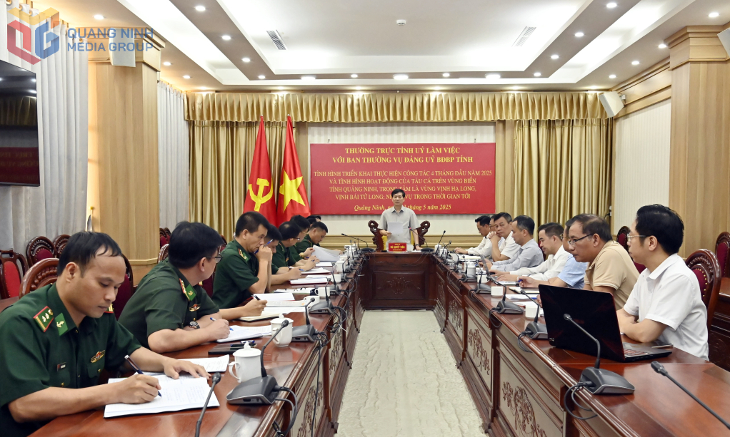 Đồng chí Vũ Quyết Tiến, Phó Bí thư Tỉnh ủy phát biểu chỉ đạo tại hội nghị.
