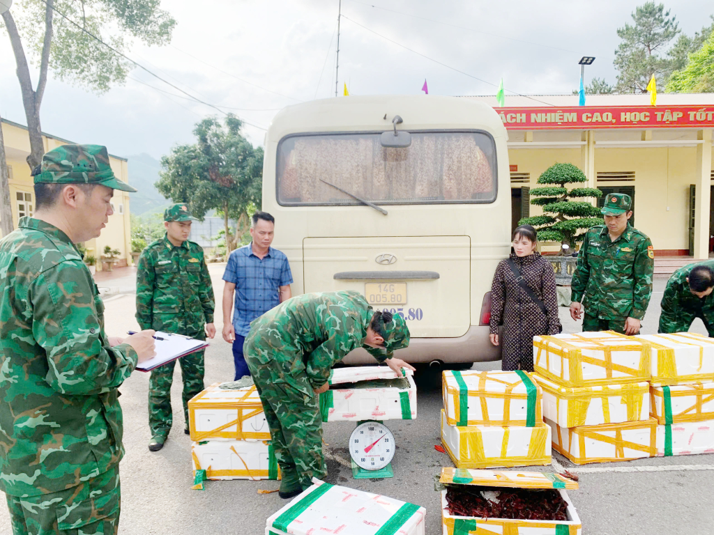Hai đối tượng và tang vật bị lực lượng Bộ đội Biên phòng bắt giữ.