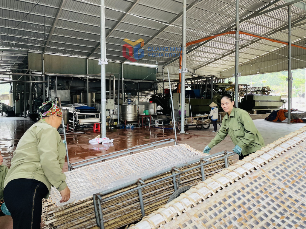 Người dân huyện Bình Liêu tham gia sản xuất miến dong.